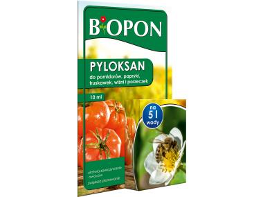 Zdjęcie: Nawóz Pyloksan 10 ml ułatwiający zawiązanie owowców BOPON