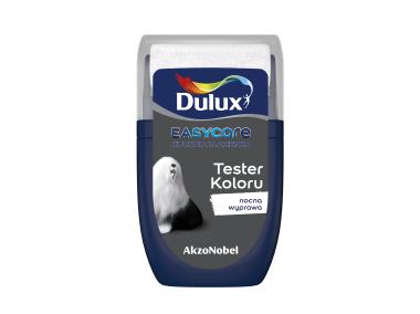 Zdjęcie: Tester farby EasyCare Kuchnia&Łazienka 0,03 L nocna wyprawa DULUX