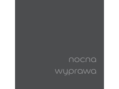 Zdjęcie: Tester farby EasyCare Kuchnia&Łazienka 0,03 L nocna wyprawa DULUX