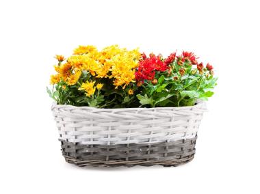 Zdjęcie: Balkonówka koszyk na kwiaty z folią 37x22x13 cm TIN TOURS