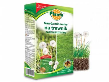 Zdjęcie: Nawóz na zachwaszczony trawnik 1 kg PLANTA