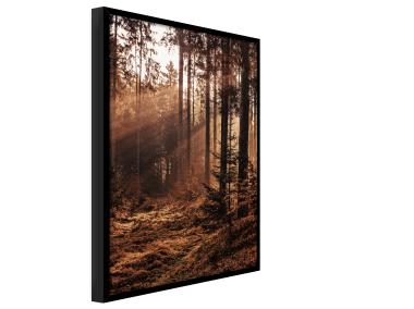 Zdjęcie: Plakat Framepic 50x70 cm Fp051 Forest STYLER