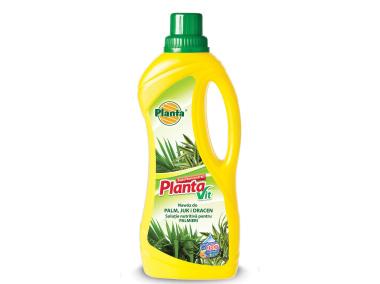 Zdjęcie: Nawóz do palm, juk i dracen Vit-6, 0,5 L PLANTA