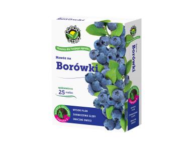 Zdjęcie: Nawóz na borówki 1 kg karton OGRÓD START