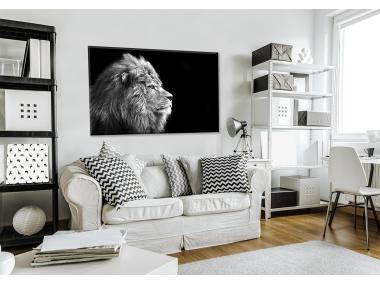 Zdjęcie: Obraz Glasspik Animals 70x100 cm Gl104 Lion STYLER