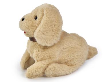 Zdjęcie: CCL Salto Puppy, 20 cm SIMBA