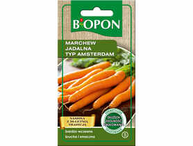 Marchew jadalna Amsterdam 3 - 4 g BIOPON