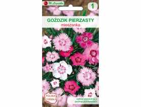 Goździk pierzasty mieszanka 0,3 g W.LEGUTKO