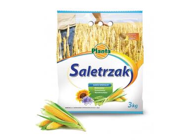 Zdjęcie: Salatrzak w worku 3 kg PLANTA