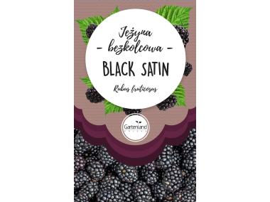 Zdjęcie: Jeżyna bezkolcowa Black Satin GATTENLAND