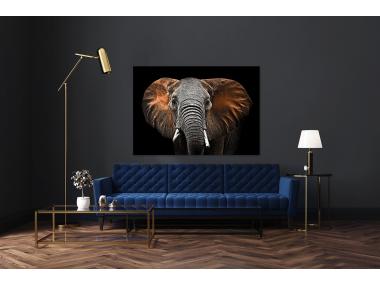 Zdjęcie: Obraz Canvas Silver1 85x113x2,8 cm Ex512 Red Elephant STYLER