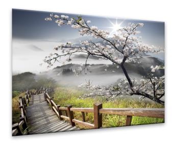 Zdjęcie: Obraz Decopanel 60x90 cm Dp012 Sakura STYLER