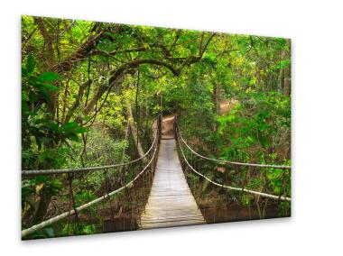 Zdjęcie: Obraz Glasspik Nature  80x120 cm Ex370 Forest Bridge STYLER