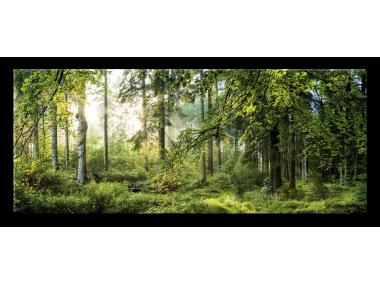 Zdjęcie: Obraz Glasspik Nature 50x125 cm Gl319 Fores STYLER