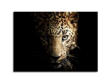Zdjęcie: Obraz Glasspik Animals3 70x100 cm Sg Gl246 Leopard
 STYLER