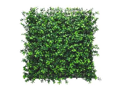 Zdjęcie: Panel zieleni Bukszpan 50 x 50 cm MIRPOL