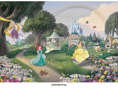 Zdjęcie: Fototapeta Disney Princess Rainbow VENA