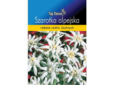 Zdjęcie: Szarotka alpejska TOP DECOR