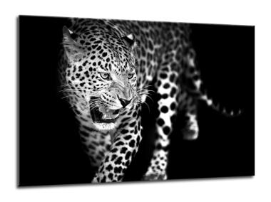 Zdjęcie: Obraz Glasspik Animals 70x100 cm Gl106 Leopard STYLER