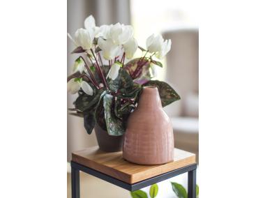 Zdjęcie: Wazon ceramiczny róż 16 cm DIRECT HG