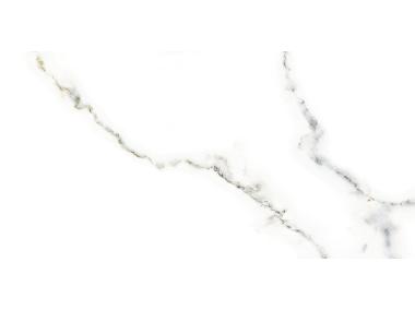 Zdjęcie: Płytka ścienna Wall Carrara Shiny 300x600 mm NETTO