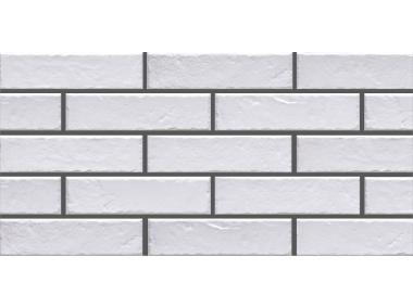 Zdjęcie: Płytka elewacyjna Foggia Bianco 24,5x6,5 cm CERRAD