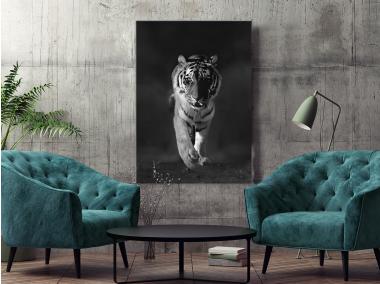 Zdjęcie: Obraz Glasspik Animals 70x100 cm Gl100 Tiger STYLER