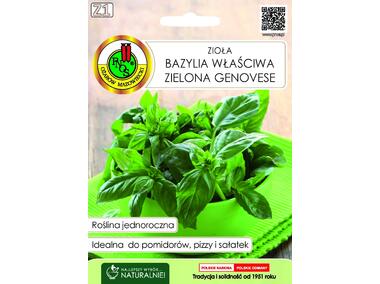 Zdjęcie: Bazylia właściwa Genovese zielona 1 g PNOS