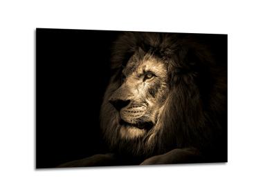 Zdjęcie: Obraz Glasspik Animals3 70x100 cm Sg Gl247 Lion STYLER
