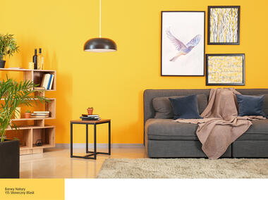 Zdjęcie: Farba do ścian i sufitów słoneczny blask 2,5 L ŚNIEŻKA