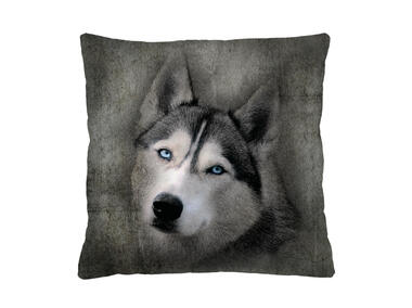 Zdjęcie: Poduszka Husky 40x40 cm BERTONI