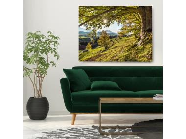 Zdjęcie: Obraz Glasspik Nature  80x120 cm St545 Green STYLER