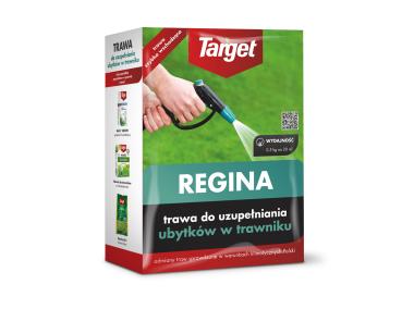 Zdjęcie: Nasiona traw do uzupełniania ubytów w trawniku Regina 0,5 kg TARGET