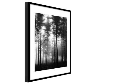 Zdjęcie: Plakat Framepic 50x70 cm Fp046 Forest STYLER