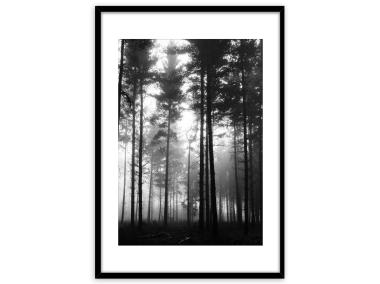 Zdjęcie: Plakat Framepic 50x70 cm Fp046 Forest STYLER