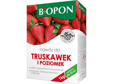 Zdjęcie: Nawóz do truskawek i poziomek 1 kg BOPON