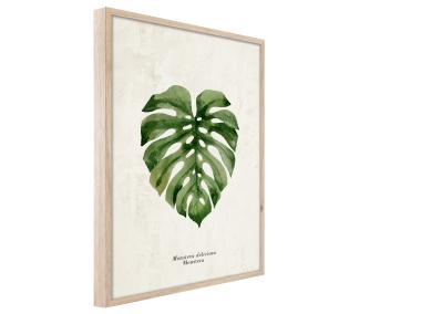 Zdjęcie: Plakat Framepic 50x70 cm Fp037 Monstera STYLER