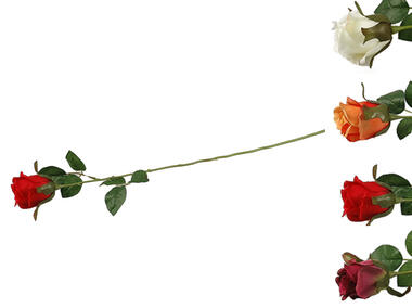 Zdjęcie: Róża pojedyncza CV15151-MIX TOP GIFTS