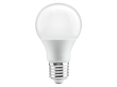 Zdjęcie: Żarówka LED ściemnialne, 10 W, E27, 220-240 V, GTV