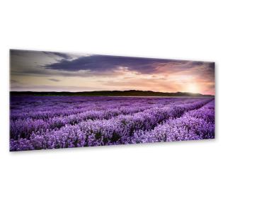 Zdjęcie: Obraz Glasspik Nature 50x125 cm Ex372 Lavender Field STYLER