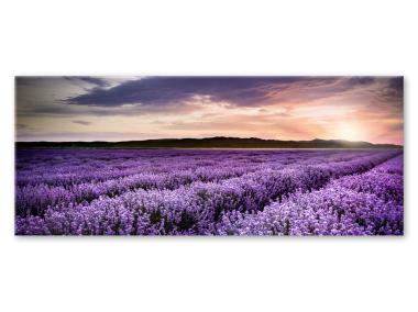 Zdjęcie: Obraz Glasspik Nature 50x125 cm Ex372 Lavender Field STYLER