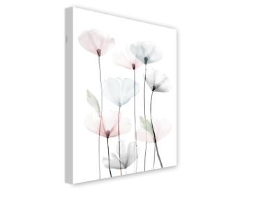 Zdjęcie: Obraz Canvas Flowers 60x80 cm St544 Modern Poppy 2 STYLER