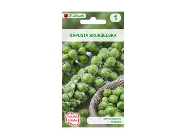 Zdjęcie: Kapusta brukselska Groninger nasiona tradycyjne 0.8 g W. LEGUTKO