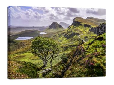 Zdjęcie: Obraz Canvas Nature 85x113 cm St313 Scotland STYLER