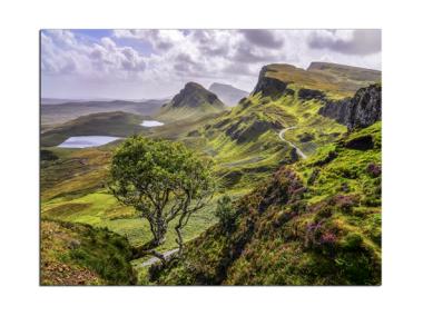 Zdjęcie: Obraz Canvas Nature 85x113 cm St313 Scotland STYLER