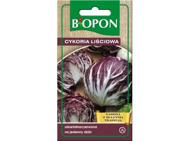 Zdjęcie: Cykoria liściowa Radicchio Palla Rosa 1,5 g BIOPON