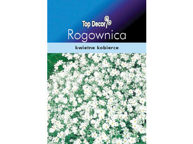 Zdjęcie: Rogownica TOP DECOR