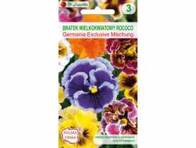 Bratek wielkokwiatowy Rococo nasiona tradycyjne 0.4 g W. LEGUTKO
