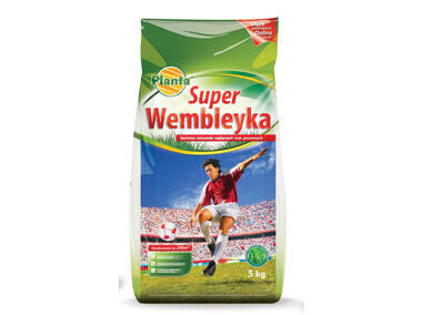 Zdjęcie: Trawa boiskowa Super Wembleyka 5 kg PLANTA