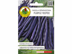 Fasola szparagowa fioletowa Karłowa Purple Teepee 20 g PNOS